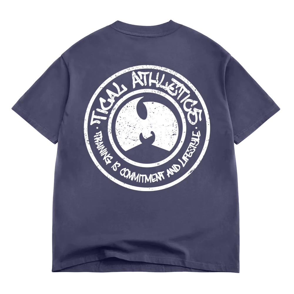 TICAL Athletics Distressed BOX T Shirt Vintage Navy and White
