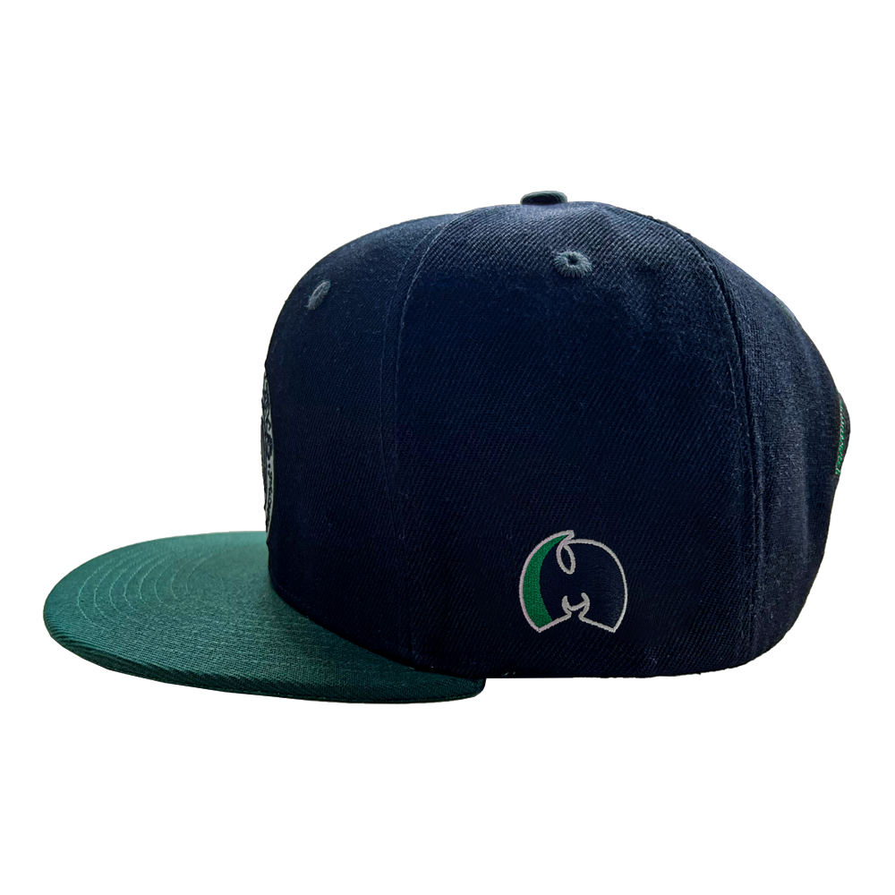 TICAL Athletics Snapback Black, Forest and 3M