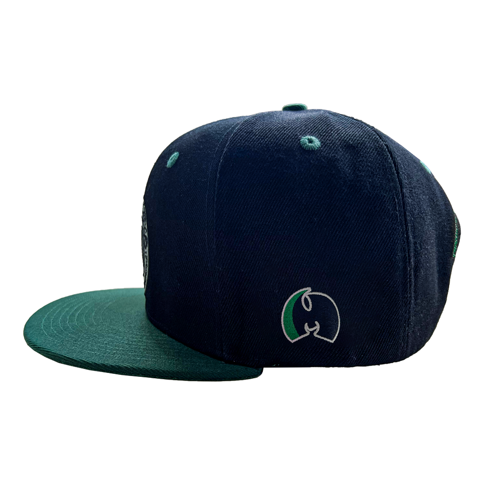 TICAL Athletics Snapback Black, Forest and 3M